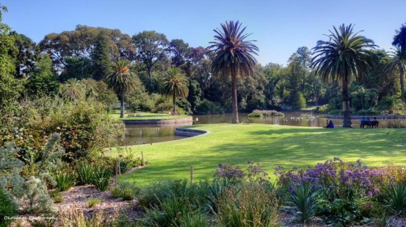 Pleasant City Stay On Collins Melbourne Esterno foto